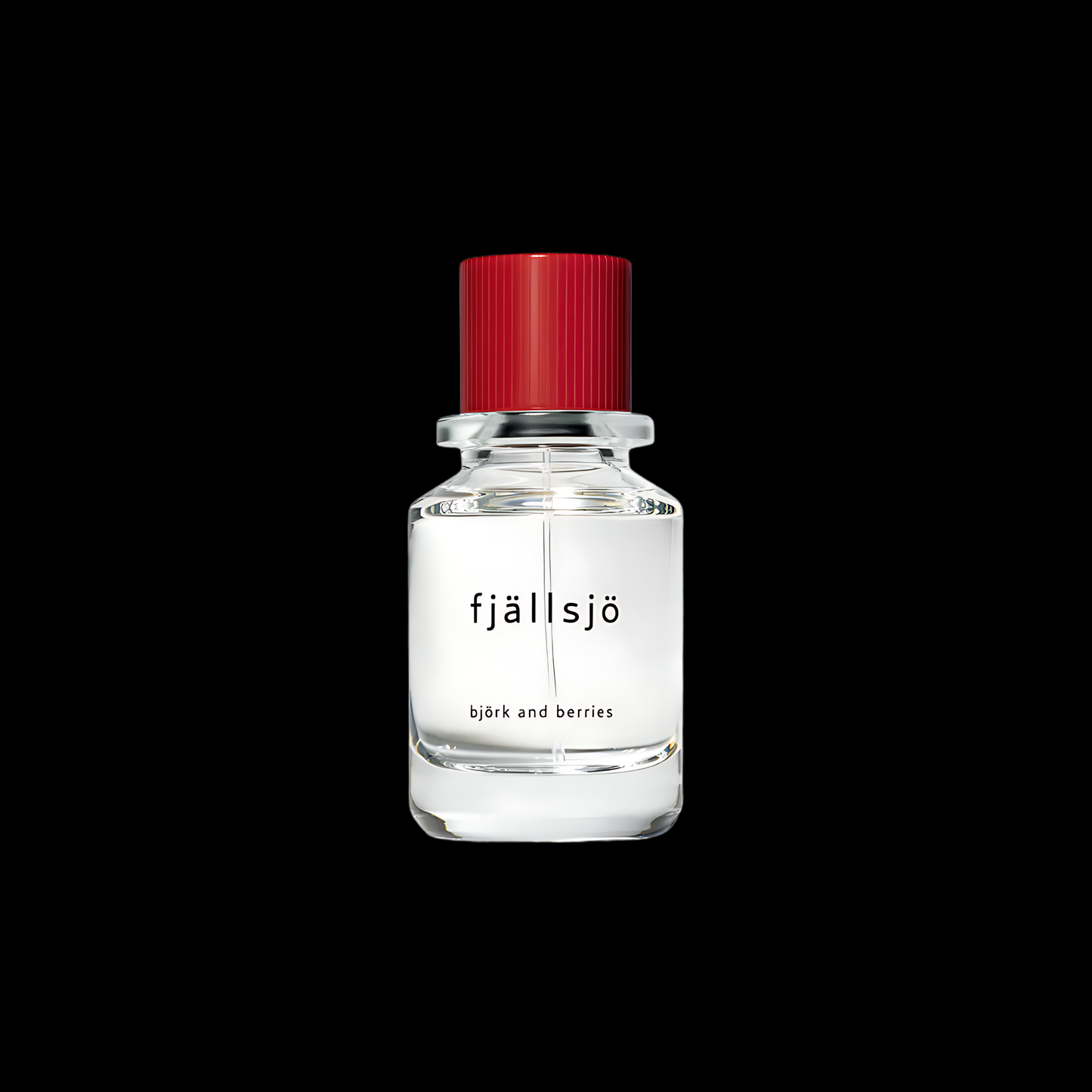 BJORK & BERRIES FJÄLLSJÖ