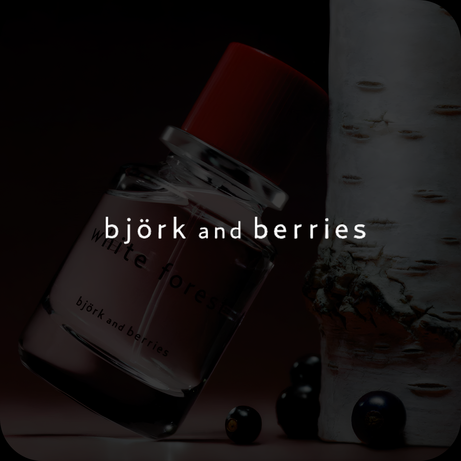 BJORK & BERRIES