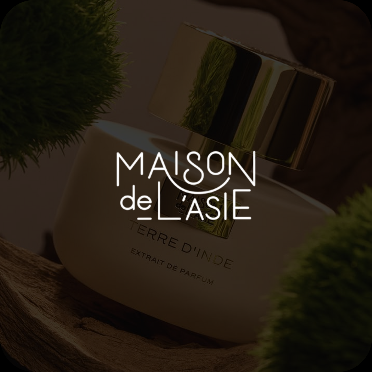 MAISON DE LASIE