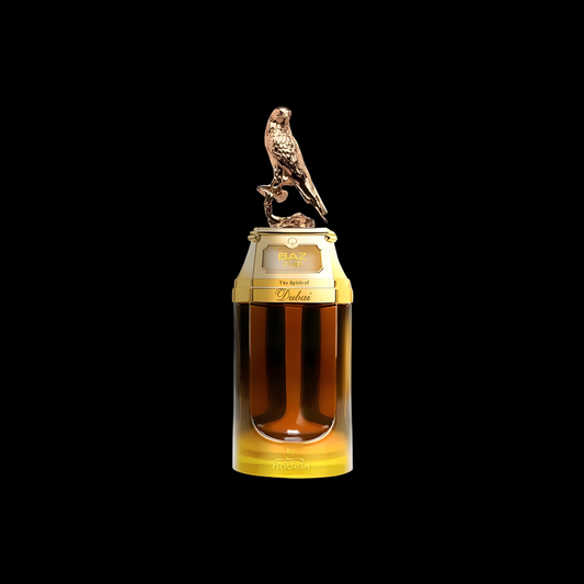 SPIRIT OF DUBAI BAZ CUIR