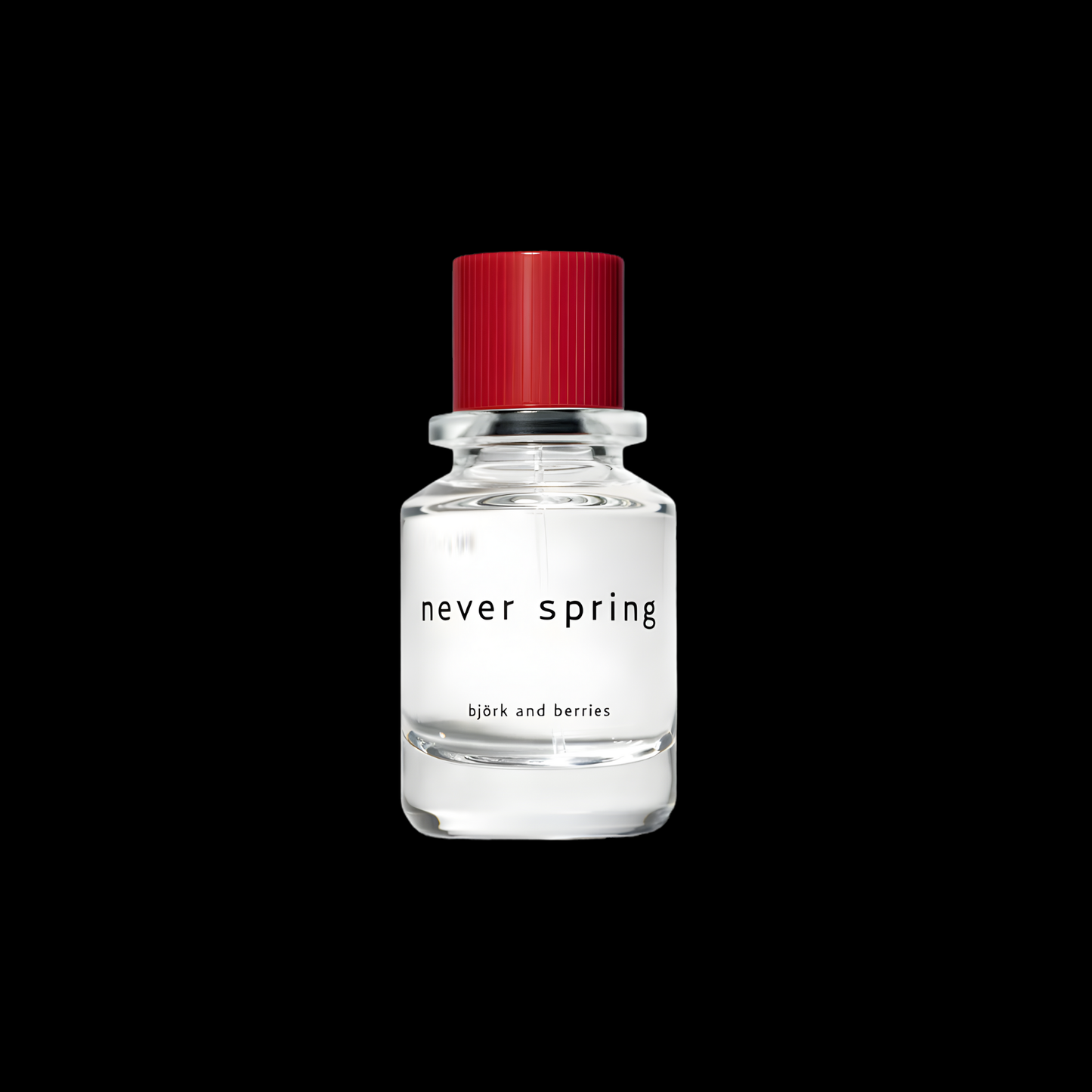 BJORK & BERRIES NEVER SPRING