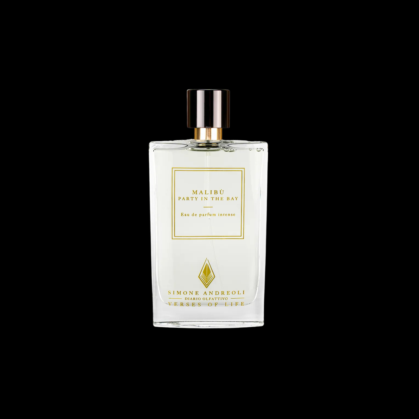 SIMONE ANDREOLI MALIBU PARTY IN THE BAY