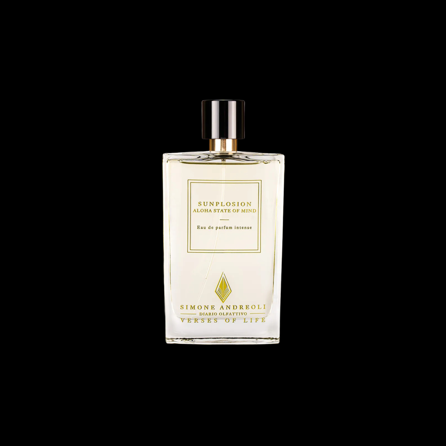 SIMON ANDREOLI SUNPLOSION