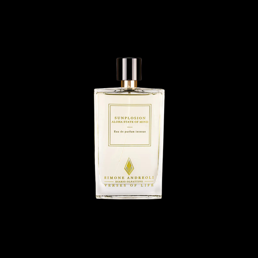 SIMON ANDREOLI SUNPLOSION